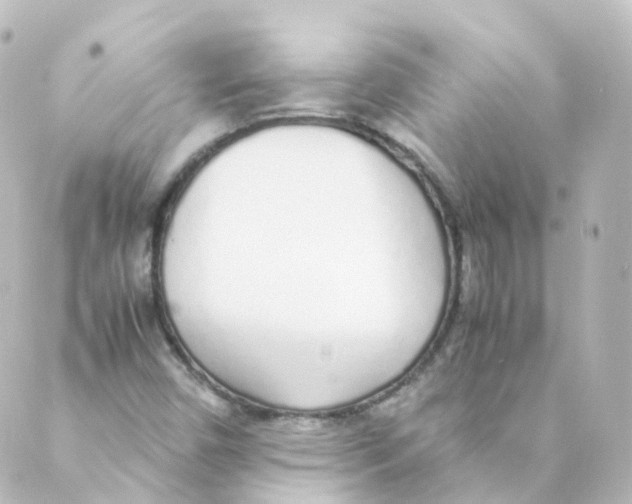 X0000088641450200706221534