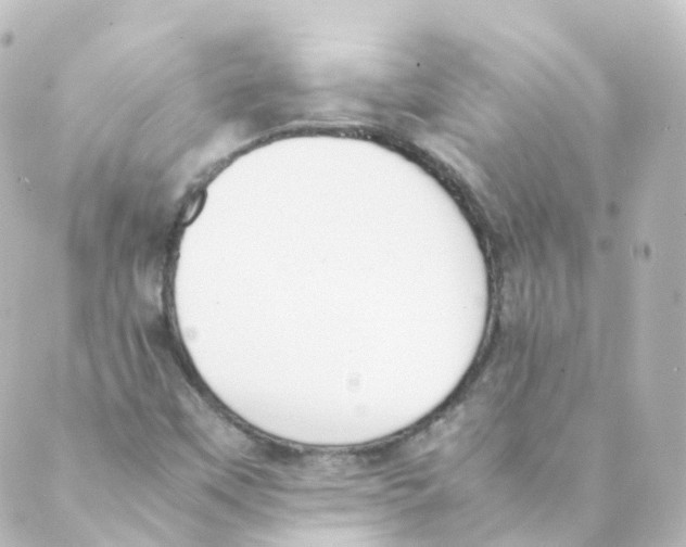 X0000088641451200706221534