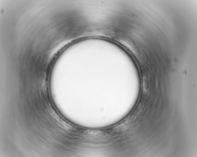 X0000088641452200706221534