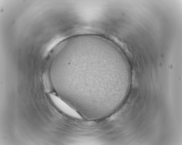 X0000088641453200706221534