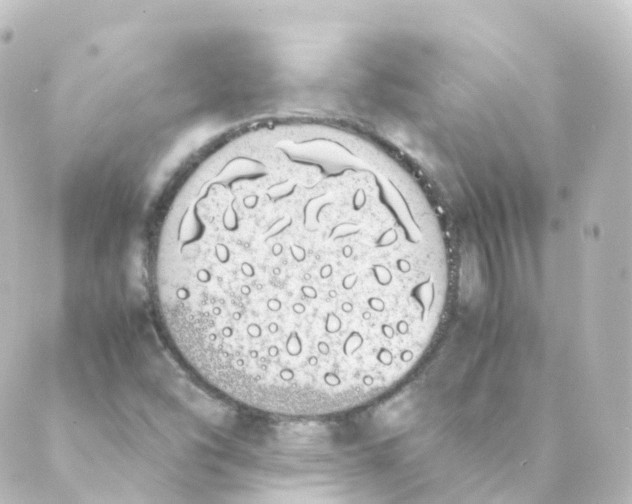 X0000088641454200706221534