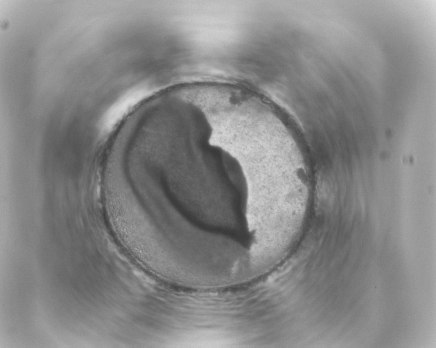 X0000088641455200706221534