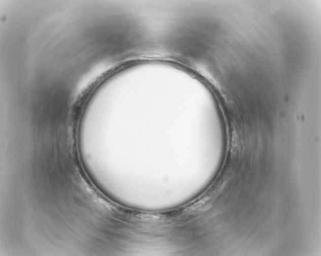 X0000088641456200706221534