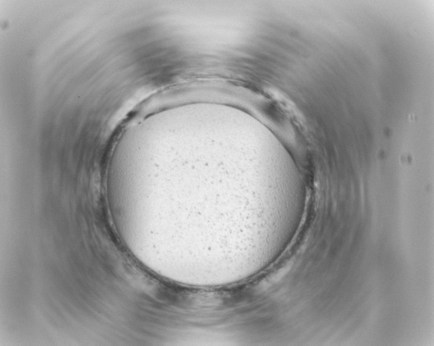 X0000088641457200706221534