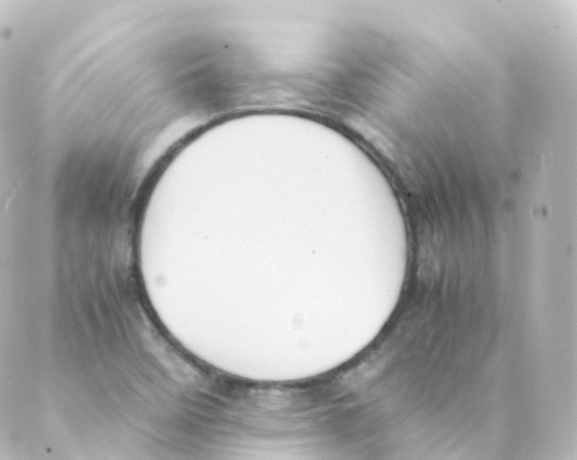 X0000088641458200706221534