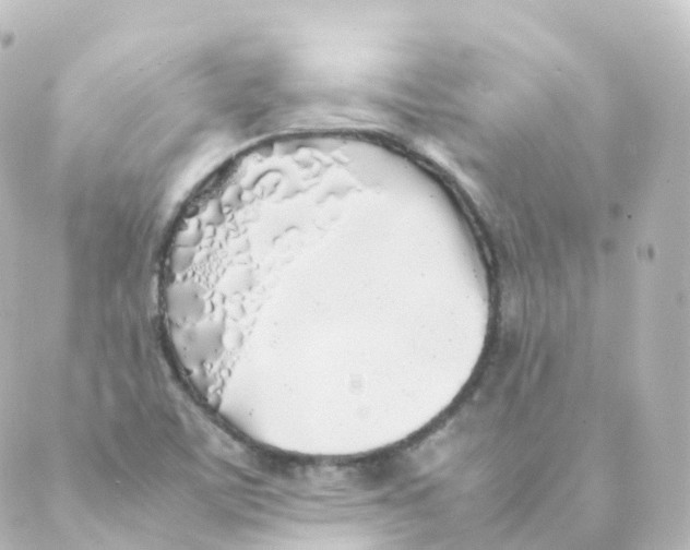 X0000088641459200706221534