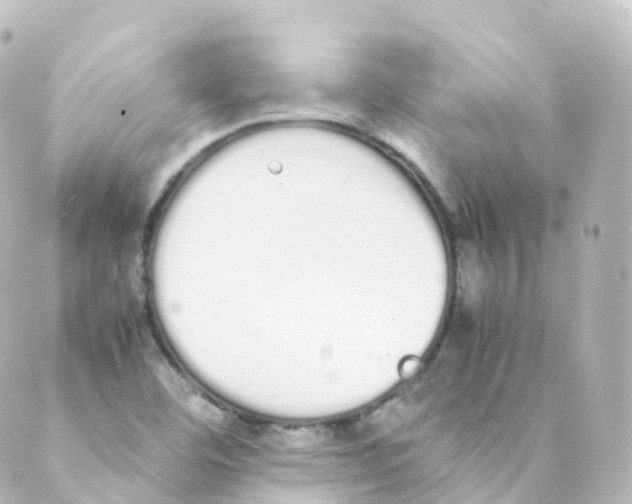 X0000088641460200706221534