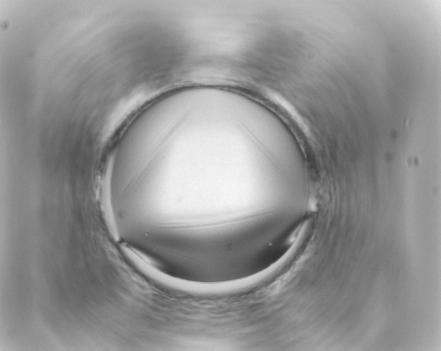 X0000088641461200706221534