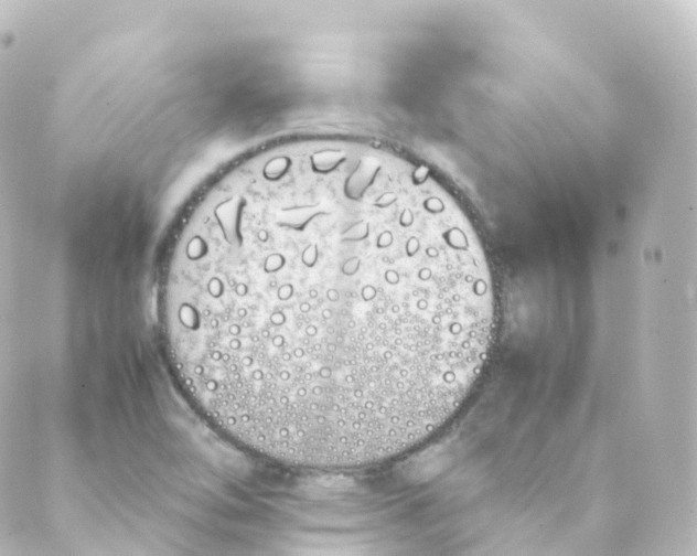 X0000088641462200706221534