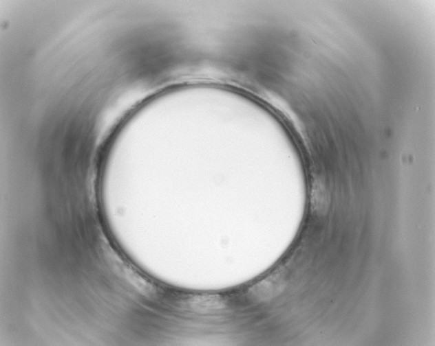 X0000088641464200706221533