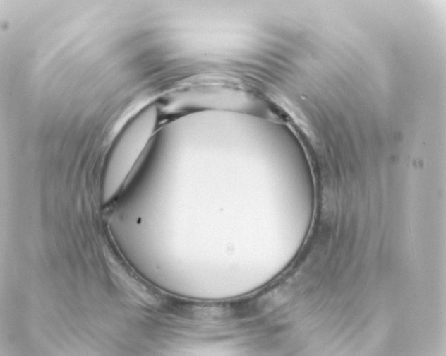 X0000088641465200706221533