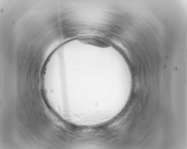 X0000088641467200706221533