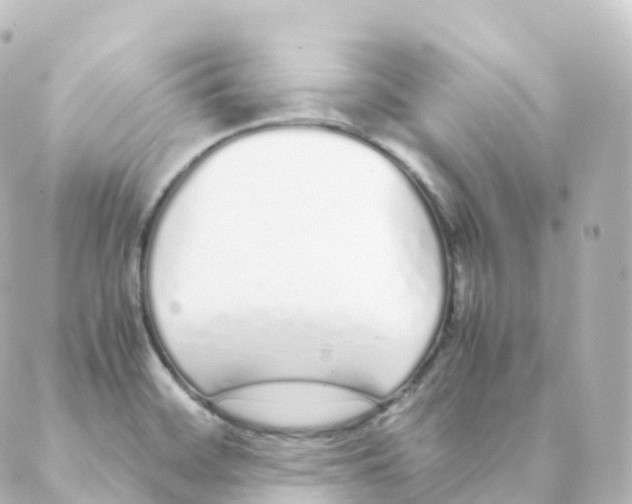 X0000088641468200706221533