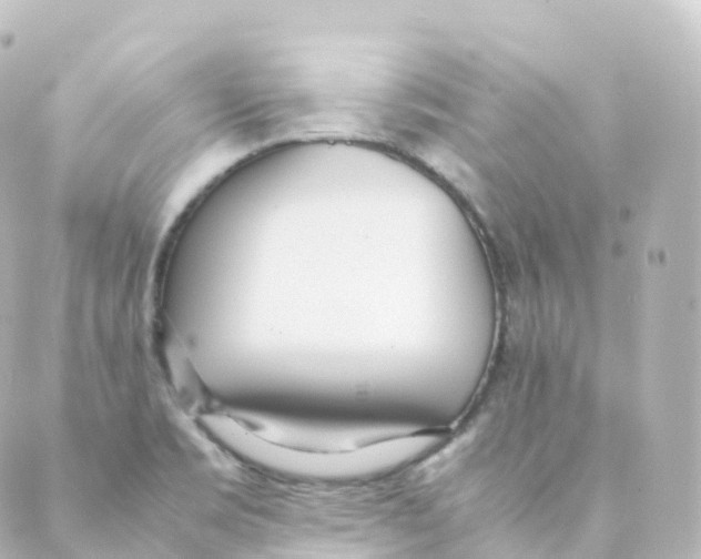 X0000088641469200706221533