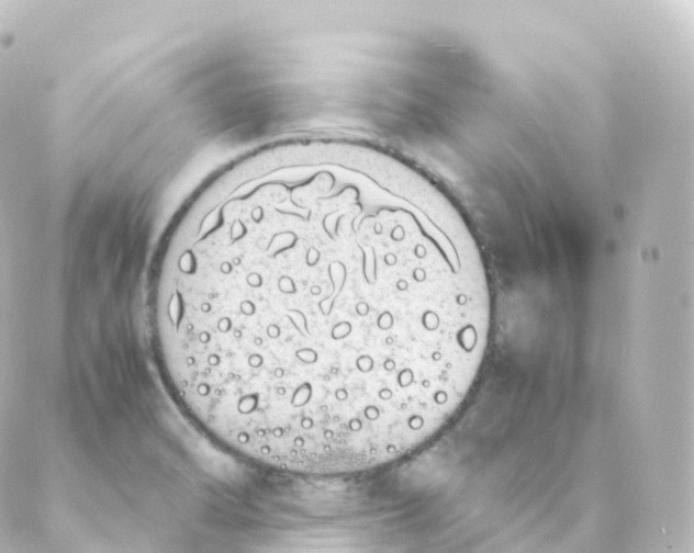 X0000088641470200706221533