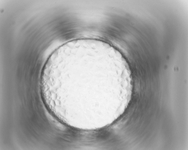 X0000088641471200706221533