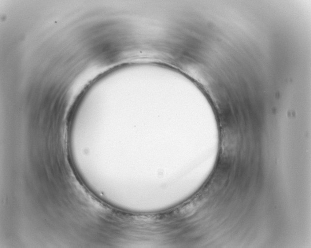 X0000088641472200706221533