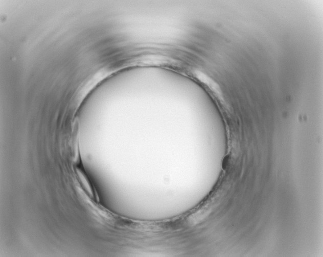 X0000088641473200706221533