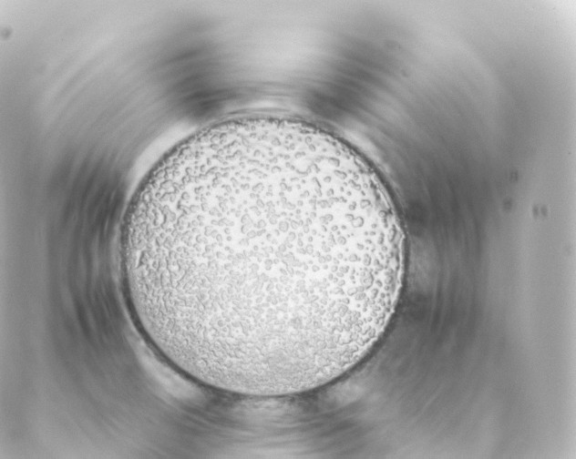 X0000088641474200706221533