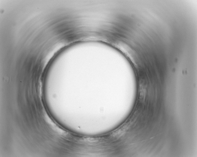 X0000088641476200706221533