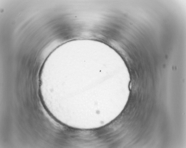 X0000088641479200706221533