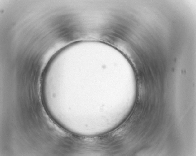 X0000088641480200706221533