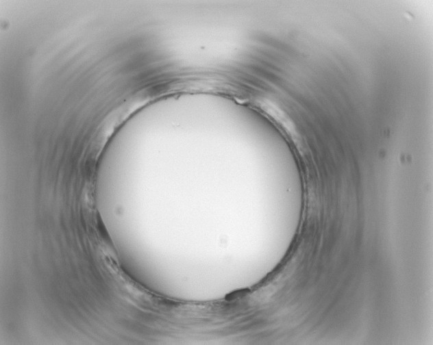 X0000088641481200706221533