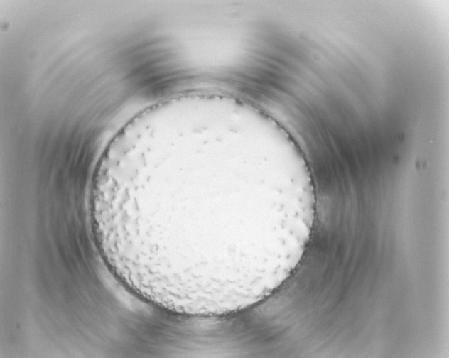 X0000088641482200706221533