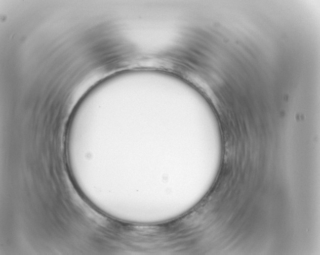 X0000088641483200706221533