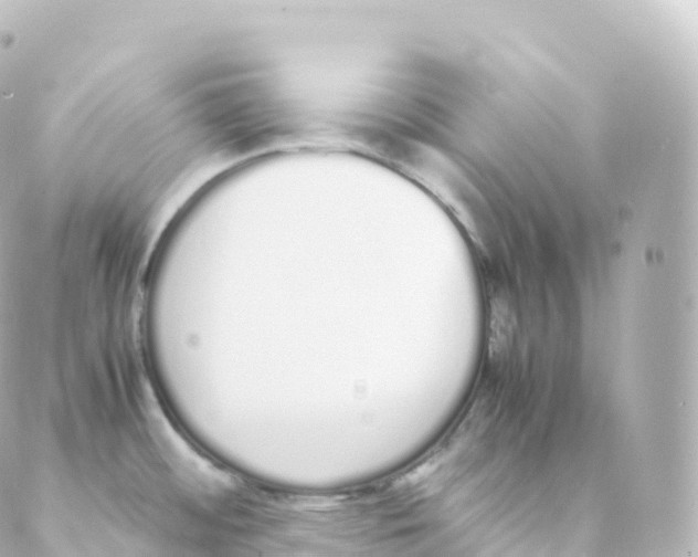 X0000088641484200706221533