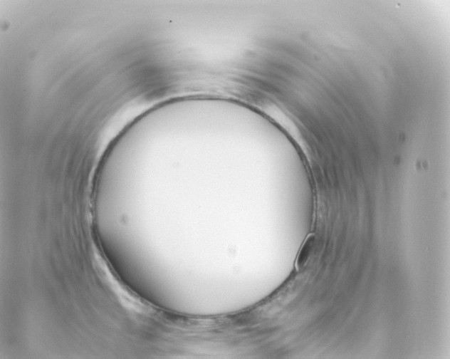 X0000088641485200706221533