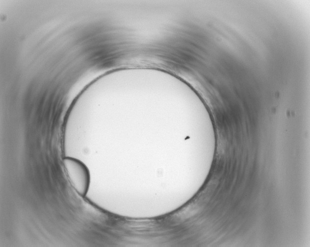 X0000088641486200706221533