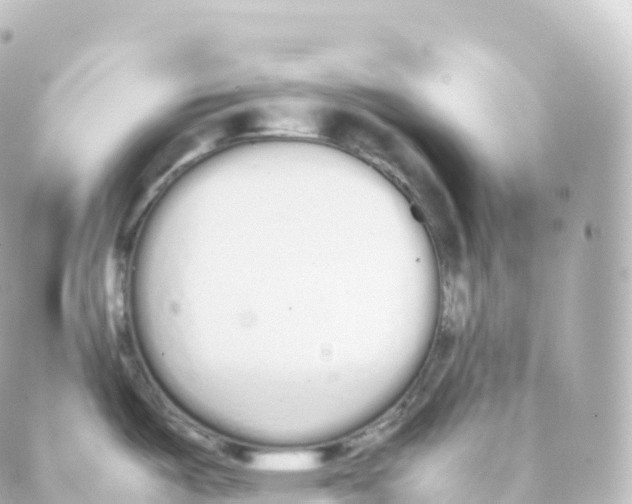 X0000088641487200706221533