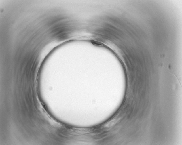 X0000088641488200706221533