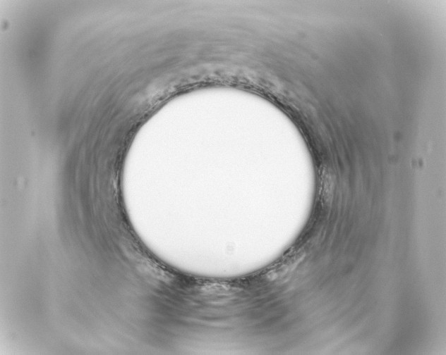 X0000088641489200706221532