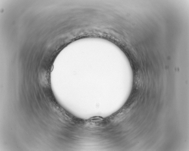 X0000088641490200706221532