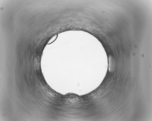 X0000088641491200706221532