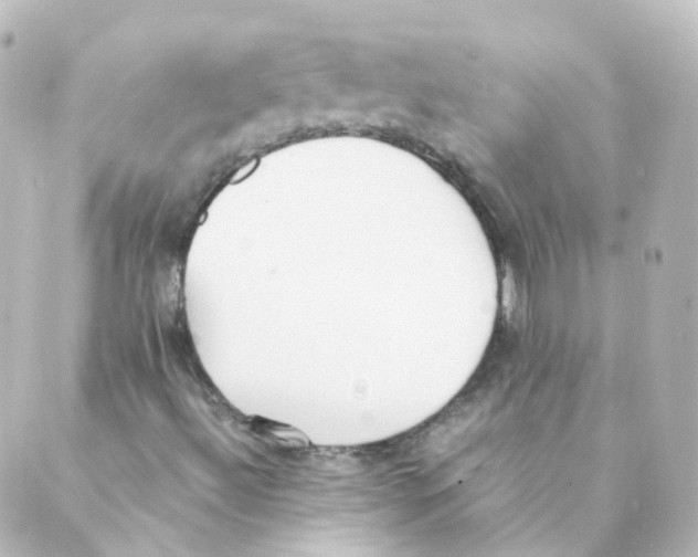 X0000088641492200706221532