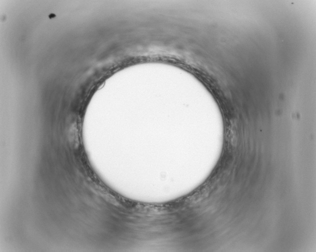 X0000088641493200706221532