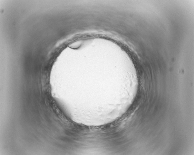 X0000088641494200706221532