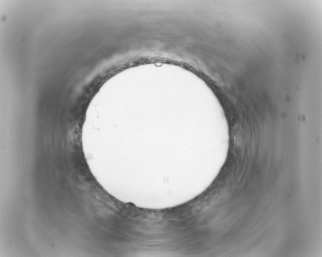 X0000088641495200706221532