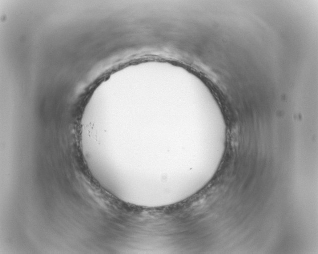 X0000088641496200706221532