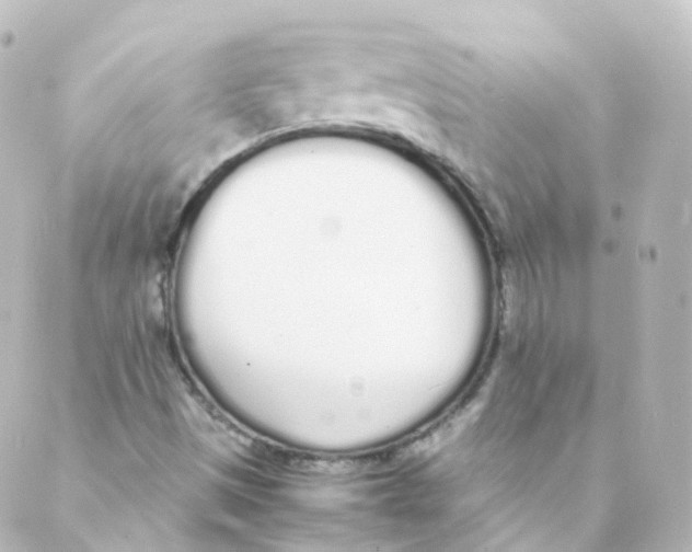 X0000088641497200706221532