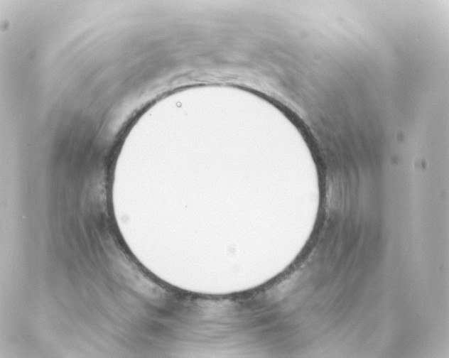 X0000088641498200706221532