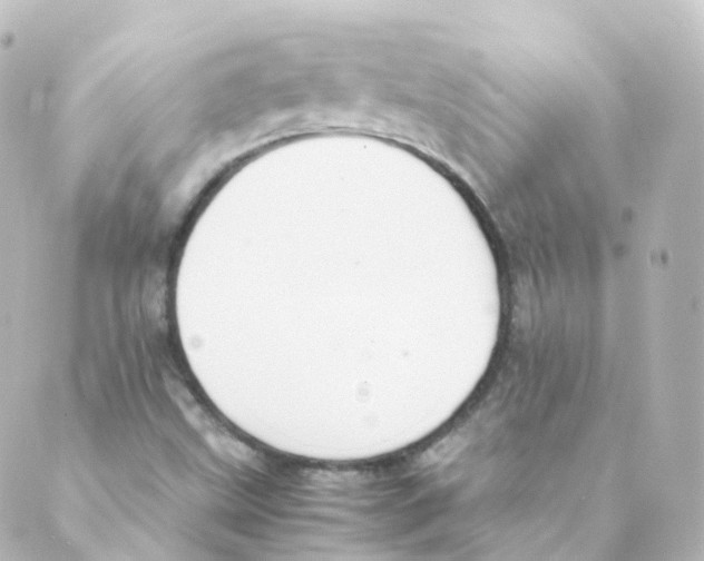 X0000088641499200706221532