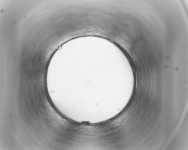 X0000088641500200706221533