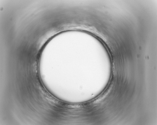 X0000088641501200706221533