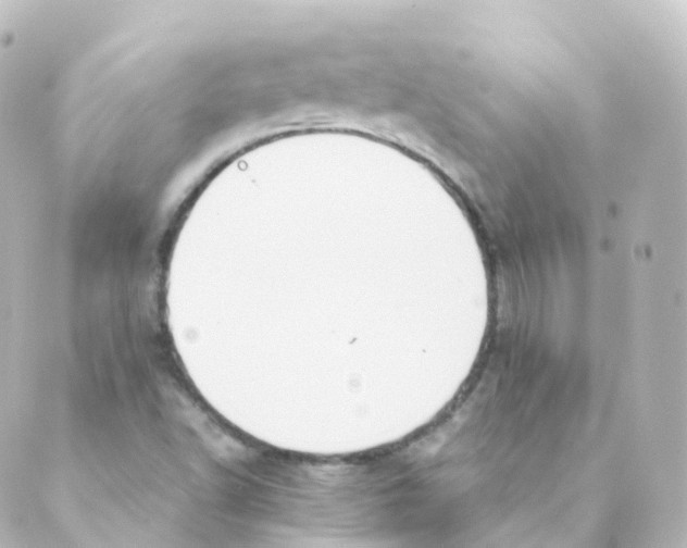 X0000088641502200706221533