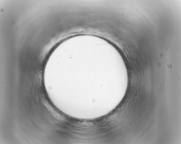 X0000088641503200706221533