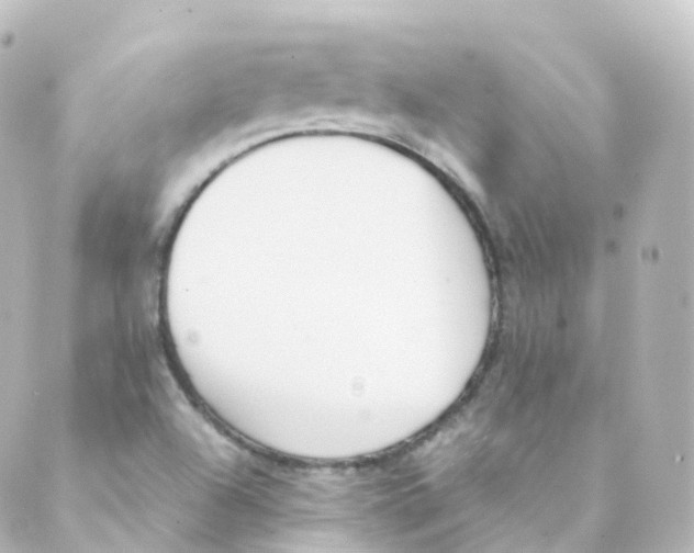 X0000088641504200706221533